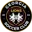 Georgia Lions logo