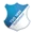 Hoffenheim (w) לוגו