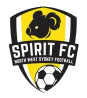 NWS Spirit (W) לוגו
