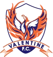Valentine Phoenix Reserves לוגו