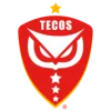 Teco FC (W) logo