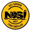 NSI Runavik logo