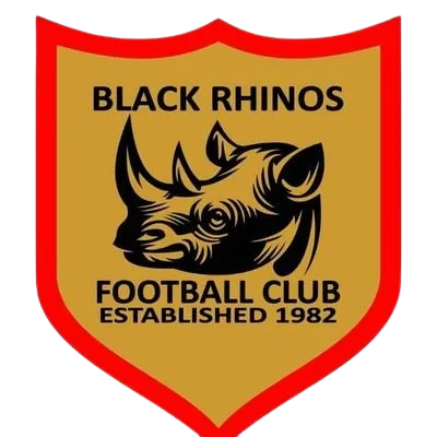 Black Rhinos logo