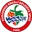 Beylerbeyi Women logo