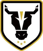 Bulls Academy (W) logo