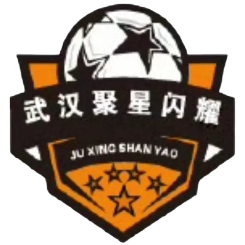 Wuhan Juxing Shanyao logo