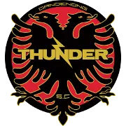 Dandenong Thunder לוגו