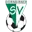 Dornbirner SV לוגו