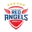 Hyundai Steel Red Angels (w) logo