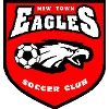 New Town Eagles לוגו