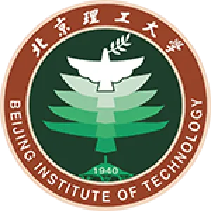 Beijing IT logo