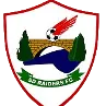 SD Raiders FC לוגו