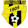 SOROKSAR logo