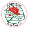 Adamstown Rosebud Reserves לוגו