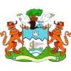 Freetown City logo