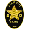 Diamond Stars logo