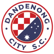 Dandenong City U23 logo