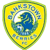 Canterbury Bankstown FC logo