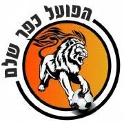 Hapoel Kfar Shalem U19 logo