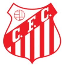 Capivariano FC SP Youth logo