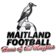 Maitland FC Reserves logo
