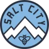 Salt City logo