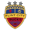 Flint City Bucks logo