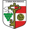 TJ Tatran Bohunice logo