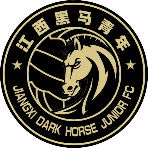 Jiangxi Dark Horse Junior logo