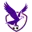 Boroondara Eagles (w) logo