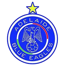 Adelaide Blue Eagles Reserve logo