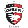 Capital TO logo