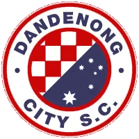 Dandenong City U21 logo
