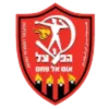 Tzeirey Um El Fahem logo