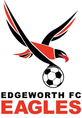 Edgeworth Eagles Reserves לוגו