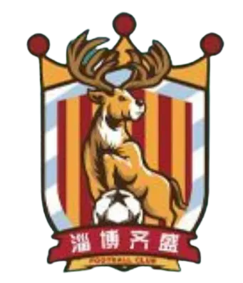 Zibo Qisheng logo