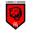 flamengo arcoverde logo
