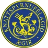 Selfoss Hamar Aegir Arborg U19 logo