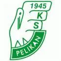 Pelikan Lowicz logo