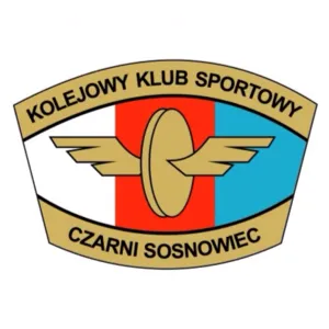 Logo de Czarni Sosnowiec (w)