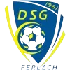 DSG Ferlach logo