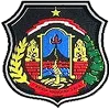 Deltras Sidoarjo logo