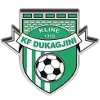 KF Dukagjini logo